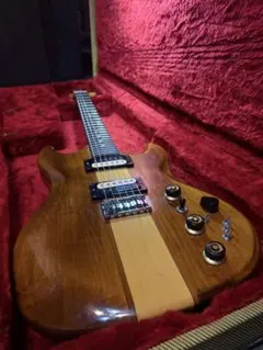 希少美品】Aria Pro Ⅱ TA-61 セミアコ エレキギター - メルカリ