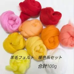 羊毛フェルト　素材セット　元気カラー！暖色系　合計100g