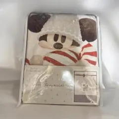 2026年最新】ディズニー 毛布 リルリンリンの人気アイテム - メルカリ