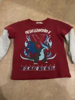 ポケモン メガリザードンX トレーナー 110