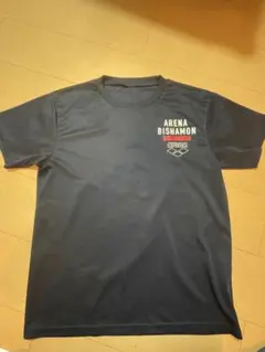 Item thumbnail for item e173107a-072c-433d-8286-d566e6ea9498