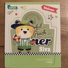 カラフルピーチ　シバ　siva マグネット