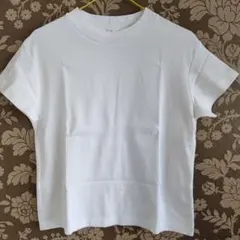 Item thumbnail for item 4128f1f3-2179-4227-8196-f01860a1c947