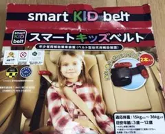 【 正規品　新品 】Smart Kid Belt スマートキッズベルト