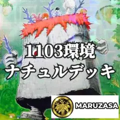 遊戯王　ナチュル　デッキ　1103環境　ナチュルクリフ　パルキオン　トリシューラ