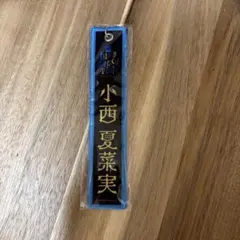 Item thumbnail for item 6417d291-0ebc-49a8-a445-eb60985faf21