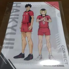 ハイキュー!! 音駒高校 クリアファイル