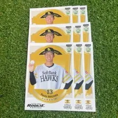 Item thumbnail for item a26fa908-831b-404e-9db9-de725c26c85b