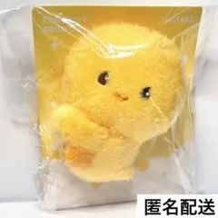 SHINee テミン 40cmドール テマリ 新品未開封 2026年最新】テミン 人形の人気アイテム - メルカリ