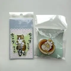 新品 mofusand ステッカー クリップセット モフサンド ねこ　ハムスター