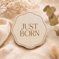 木製 Just Born カード 月齢フォト ジャストボーン　記念日