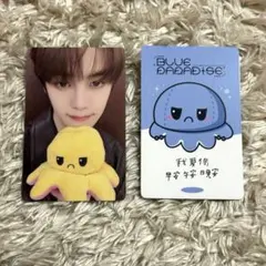 ゼベワン ギュビン 中華 yzy 一直娯 ヨントン トレカ アングリータコ