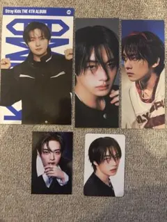 stray kids スキズ リノ