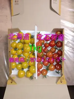 新鮮 北海道北石狩産 混合ミニトマトのサムネイル