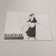 BLEACH クリアカード 朽木白哉 箔押し 複製サイン - メルカリ