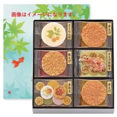 桂新堂 えびせんべい 初夏さらりSK-C 16枚入（賞味期限2026年7月）