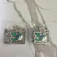 ポケモン 30周年 メタルチャームマスコット ゼルネアス 2個セット