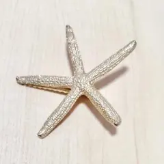 Item thumbnail for item 12264cea-9865-4ee2-a1c1-ce70c9d456bb