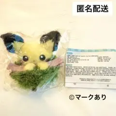 韓国 ポケモン 30周年 ポップアップ ヘアピン ピカチュウ - メルカリ