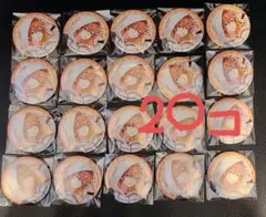 [最終値下げ]プロジェクトセカイ クリフェス 缶バッジ 東雲彰人 20個セット