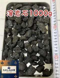 溶岩石 1000g 水槽用 レイアウト素材のサムネイル