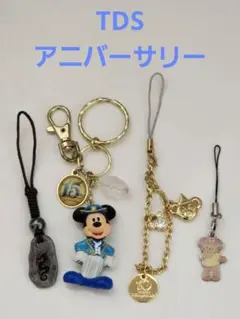 【ディズニーシー】アニバーサリー☆キーホルダー☆ストラップ☆おまけ付き