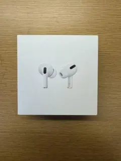 AirPods Pro 右耳不良(ノイズ音)
