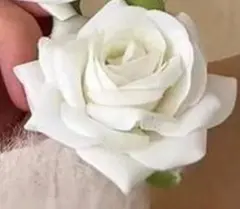 Item thumbnail for item f4f806a8-d365-4fbd-a511-a1a2b8ea2699