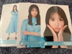 Item thumbnail for item 2d575539-2554-47b8-bd21-02bb99a5c906