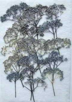 楓様 リクエスト 2点 まとめ商品