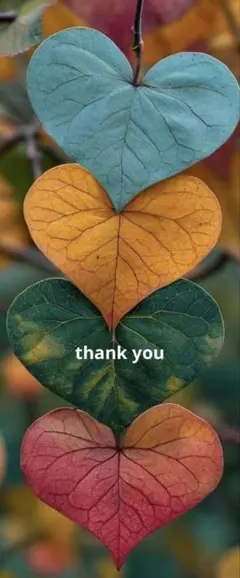 チロ/プロフィールお読みの上お求め下さい様 リクエスト 3点 まとめ商品