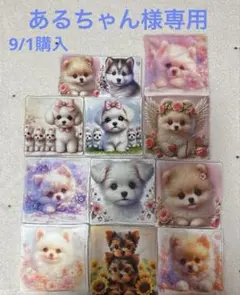 【あるちゃん様専用】ハンドメイド 8/27