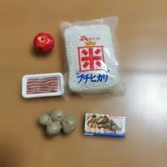 ぷちサンプルシリーズ　『今夜はカレー？』