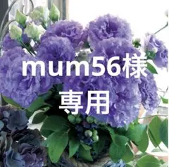 2025年最新】トルコキキョウ苗の人気アイテム - メルカリ