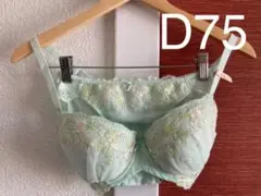 トリンプ　アモスタイル　フェミニンさをUP