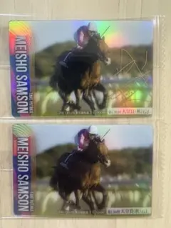 メイショウサムソン箔押しサイン　ノーマル２枚セット！