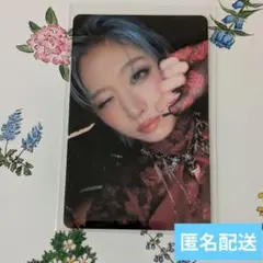 2026年最新】hana トレカ jisooの人気アイテム - メルカリ