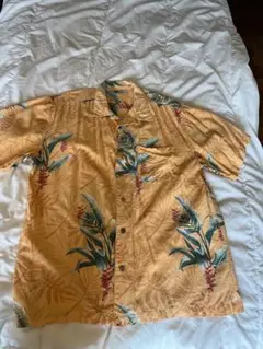 Item thumbnail for item 9c216e9a-6a1a-4fc5-8835-3c9ac4448cb4