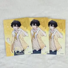 めろんぱーかー かもめ kamome ブロマイド 3枚セット サイン入り