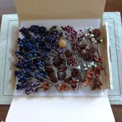 木の実色々 花材詰め合わせ ドライフラワー リース等 003