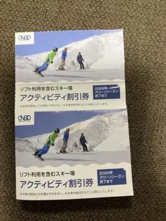 アクティビティ割引券2枚、日本スキー場開発株主優待