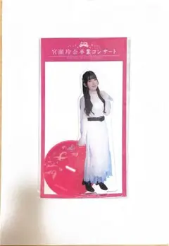 2026年最新】宮瀬玲奈の人気アイテム - メルカリ