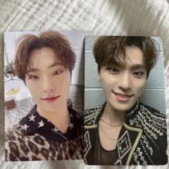 SEVENTEEN ディノ トレカ