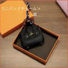 まゆりん様 リクエスト 2点 まとめ商品