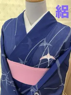2025年最新】夏着物 絽の人気アイテム - メルカリ