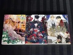 BL 小説　3冊セット　夜光花　他