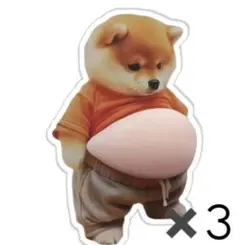 柴犬 お腹 ぷにぷにシール3枚セット