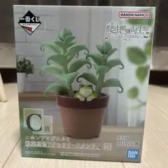 一番くじ 爬虫類&両生類 C賞 ニホンアマガエルと観葉植物アクセサリー