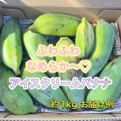 沖縄県産 アイスクリームバナナ 約1kg｜希少 国産バナナ 農薬不使用のサムネイル