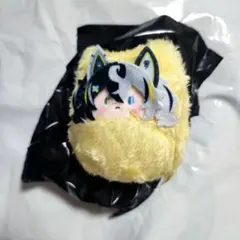 コンパス くるみたぴぬい クーシー